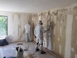 Reliable Adair Village, OR Mold Removal Solutions